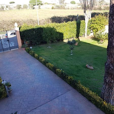 B&B Villa Elema Nettuno Ngoại thất bức ảnh